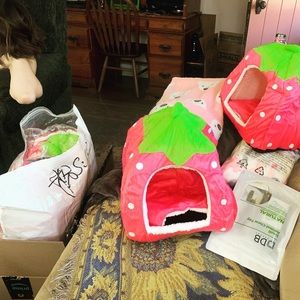 Strawberry pet house